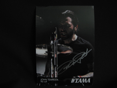 Tama Promo 2